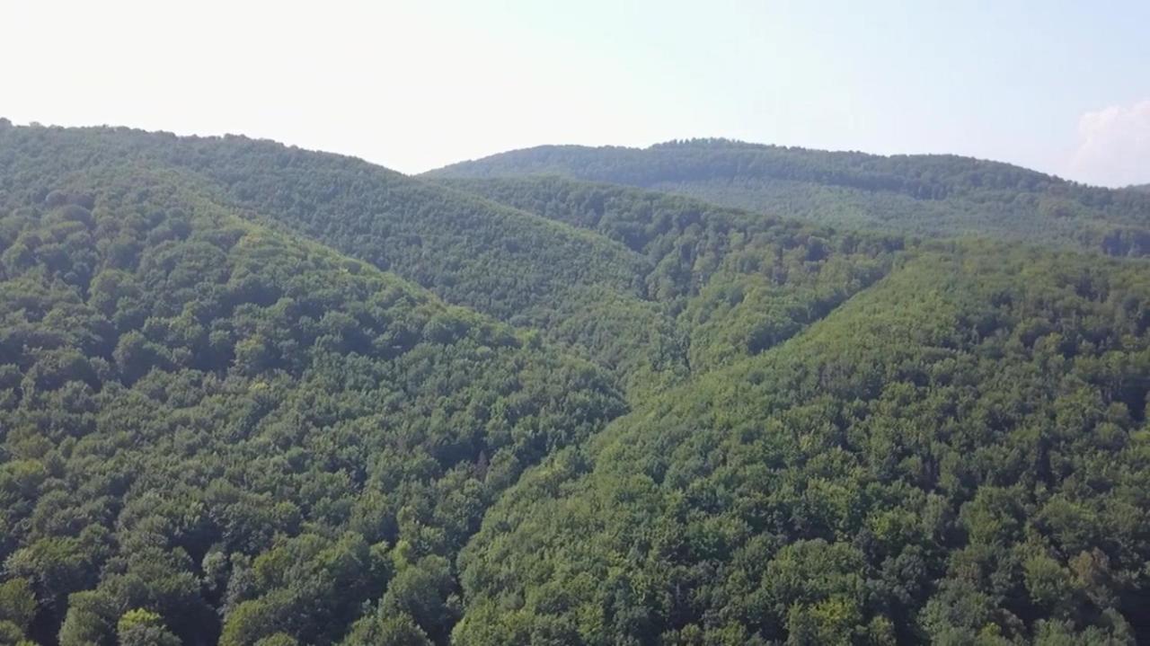 Villa Med'Ok Wyżnica Zewnętrze zdjęcie